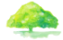 緑色の水彩の木のアイコン