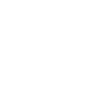THE WEDDING DAY_logo